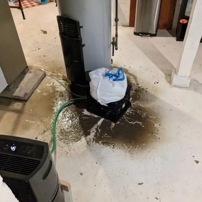 Sewage Backup Cleanup Service in Lake City, CO